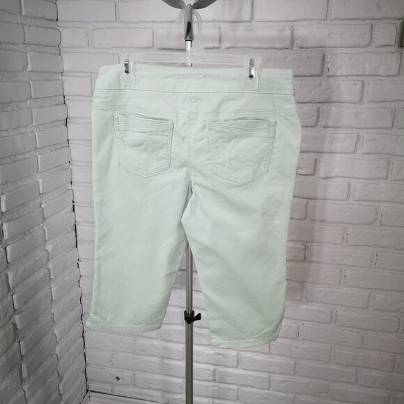 Reitmans Jeans Ladies Size 10 Petite Mint Green Pull On Style Capri Pants - Picture 2 of 11